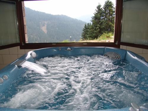 a jacuzzi tub with a view of a mountain at Ξενοδοχείο ΜΑΓΚΙΩΣΗ in Neraïdochóri