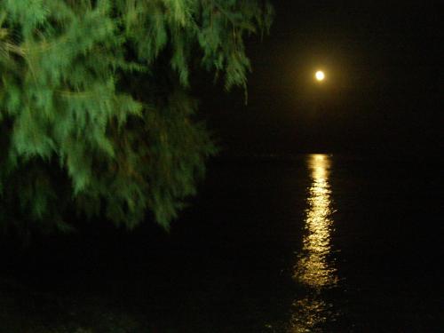 Oma's Haus- Το σπίτι της γιαγιάς