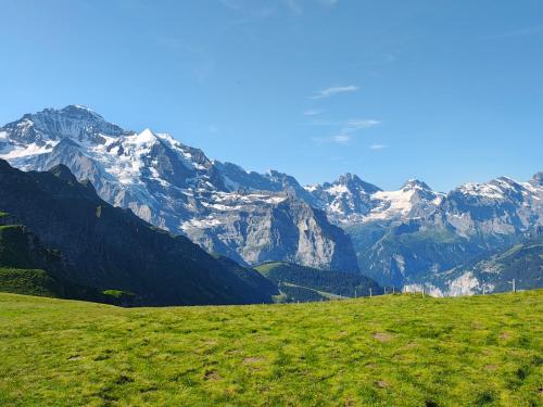 a green field with mountains in the background at Chalet Schwendiboden in Grindelwald