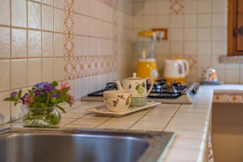 a kitchen counter with a sink and flowers on a counter top at Agriturimo Cà Dorale in Fano