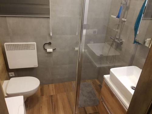 Un baño con ducha, inodoro y lavabo. en Domek na Jurze Krakowsko Częstochowskiej, Agroturystyka "Banderoza u Bolka" Na Szlaku Orlich Gniazd, en Myszków