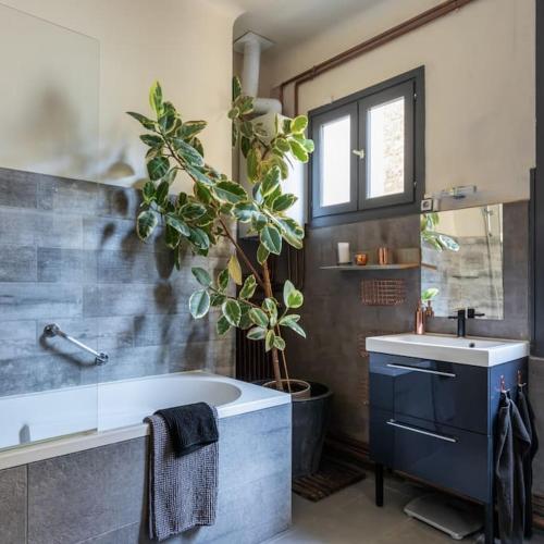 La salle de bains est pourvue d'une baignoire et d'une plante en pot. dans l'établissement Boutique Saint Germain, à Paris