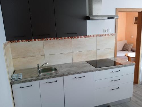 Kuchyň nebo kuchyňský kout v ubytování Apartmaji Stara Šola
