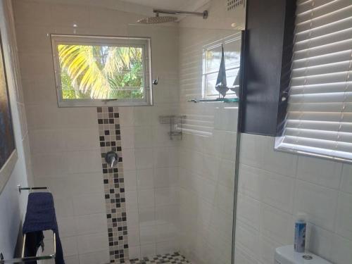 un bagno con doccia con finestra di Sunshine Cottage a Pennington
