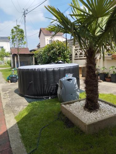 un palmier et une baignoire installée à côté d'un palmier dans l'établissement Suite parentale indépendante avec accès direct jardin, à Sotteville-lès-Rouen