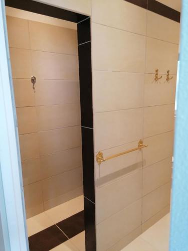 a shower with a glass door in a bathroom at Landhaus Thätner Fewo 2 in Löbnitz