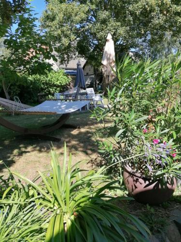 a garden with a hammock and some plants at Landhaus Thätner Fewo 2 in Löbnitz