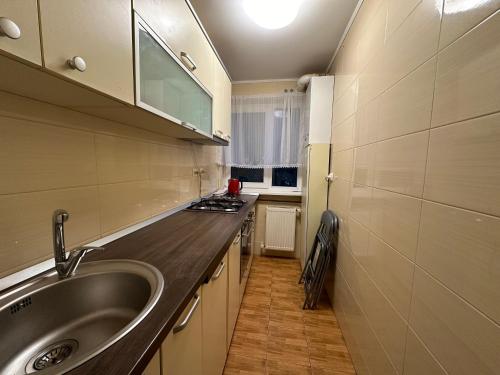 a small kitchen with a sink and a counter at Zlata Cozzy Apartment USV in Suceava