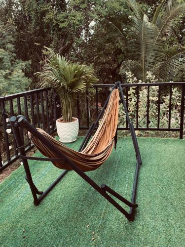 トンサラにあるThe 10 club hostelの植物のあるパティオに座るハンモック