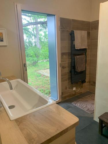 La salle de bains est pourvue d'un grand lavabo et d'une douche. dans l'établissement Chambre d'hôte, à Monflanquin