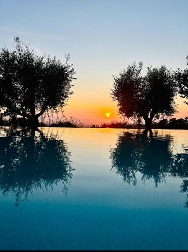 two trees reflecting in the water at sunset at PODERE TORRICELLE 69B Pancole Gr, seaview infinity pool, jacuzzi, sauna, exclusive villa with 2 bedrooms for 4 - If you total 5 or 6 people there is an independent suite in main villa with private ensuite bathroom, kitchenette and garden dining area in Pancole