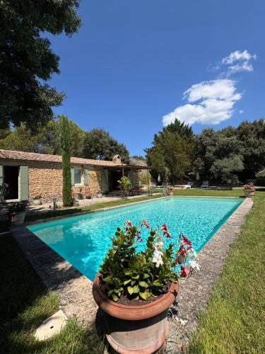 - une piscine avec un pot de fleurs à côté dans l'établissement Le Clos de Manon, à Gordes