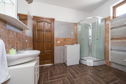 a bathroom with a sink and a shower at Fehér Galamb Vendégház in Tolmacs