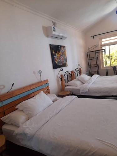 a bedroom with two beds and a window at Boulevard Inn Mt Meru in Arusha