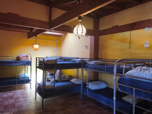 Postel nebo postele na pokoji v ubytování Los Amigos Nest Hostel