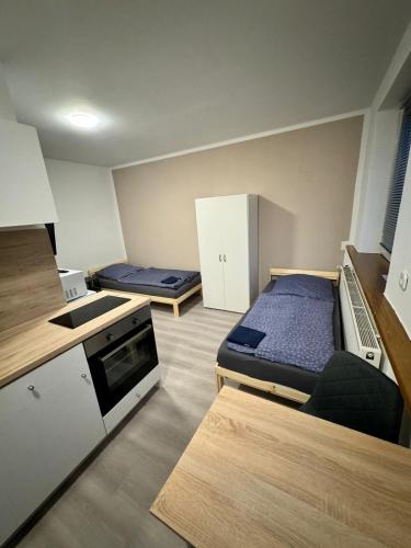 Η κουζίνα ή μικρή κουζίνα στο AlWi Apartment Braunschweig