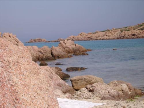 アパートメントの近くで見られる自然の景観