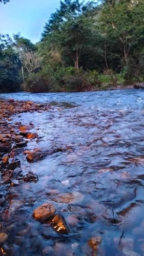 a stream of water with rocks and trees at Khaosok August Freedom Camp in Khao Sok