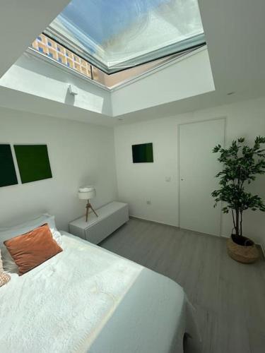 a white room with a bed and a plant in it at Casa das Mélias in Vilamoura