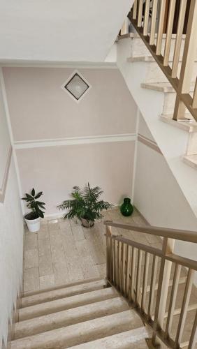 a staircase with two potted plants in a building at La Casa nel Paesello in Portocannone