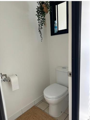 a bathroom with a toilet and a mirror and a plant at Stylish & Elegant 2BR Townhouse in Wilston, Brisbane in Brisbane