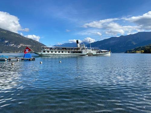 a cruise ship on a lake with mountains in the background at See und Berge Cozy in Faulensee