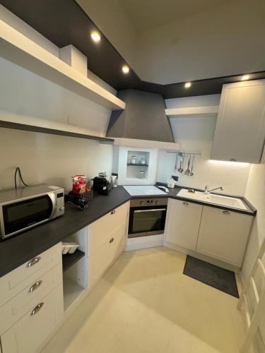 a kitchen with a sink and a microwave at IlBuenRetiro AcquiTerme Piemonte in Acqui Terme