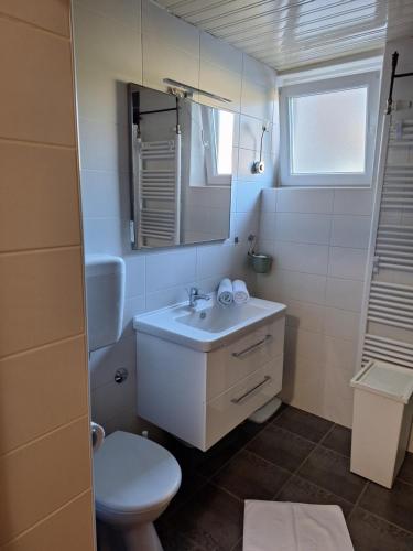 a bathroom with a sink and a toilet and a mirror at STUDIO APARTMAN MARKo C self-check in,frre parking in Karlovac