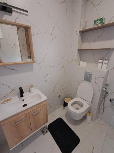 Un baño blanco con inodoro y lavabo. en HOME POINT Apartment, en Podgorica