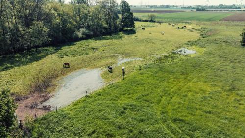 an aerial view of a field with animals in a river at Romantik Studio - Cozy - Stylisch - Naturnah in Kempen