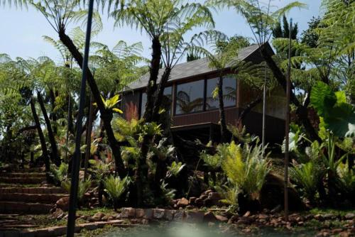 Ein Garten an der Unterkunft Khu Nghỉ Dưỡng Ngôi Làng Trong Tranh, Bảo Lộc