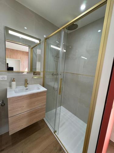 une salle de bain avec douche et lavabo dans l'établissement Studio avec jardinet proche mer, à Cagnes-sur-Mer