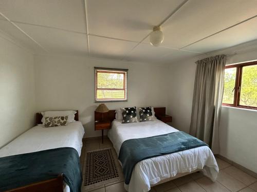 two beds in a room with two windows at Vaalwater Lodge & Bush Camp in Willowmore