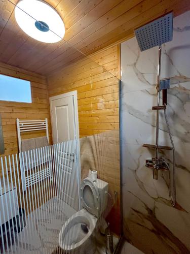 a bathroom with a toilet in a room at Nemes Chalet A Frame in Văleni