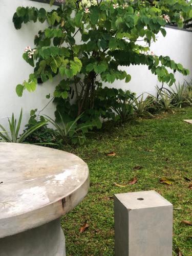 a stone bench sitting in the grass next to a bush at Luvi’s Villa in Galle