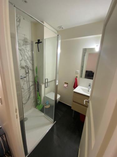 une salle de bain avec douche et lavabo dans l'établissement Appartement confortable Stade de France, à Saint-Denis