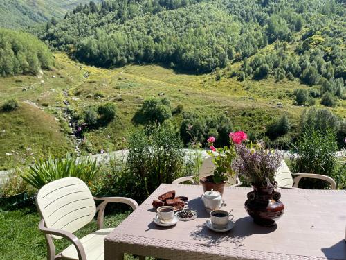 a table with cups and flowers on top of a mountain at GuestHouse NaSHGOBI in Ushguli