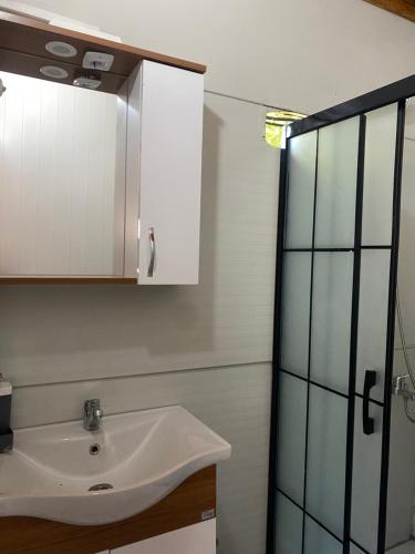 a bathroom with a sink and a glass shower at Casa Mora Zeytinli in Edremit