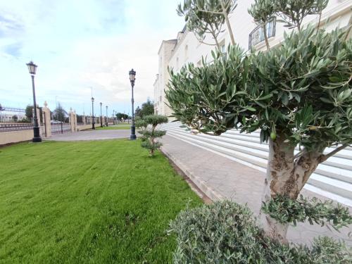a park with trees and lights next to a building at Hotel Bossh Alicia in Albacete