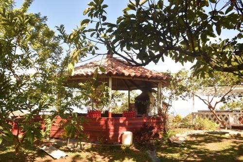 a gazebo in the shade of a tree at Glamping del Occidente in Cativo