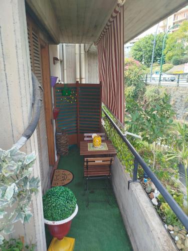 Taman di luar Casalicuti