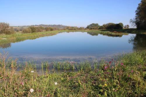a view of a large lake in a field at Studio im Grünen und Bodenseenähe in Rielasingen-Worblingen