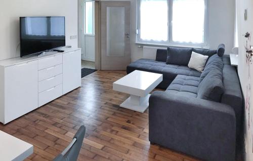 a living room with a couch and a tv at 2 Bedroom Pet Friendly Home In Prenzlau in Prenzlau