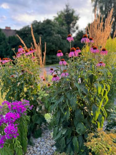 a garden with pink flowers in the middle at Vegas Hriňová Penzión in Hriňová