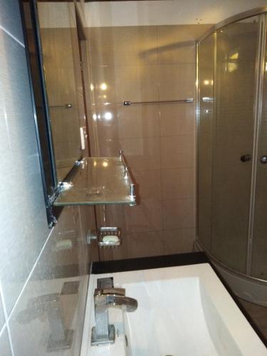 a bathroom with a sink and a shower at Jana Villa 21 in Bentota