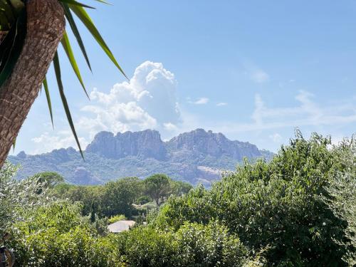 a view of a mountain with trees and a palm tree at 2 hébergements - 10 couchages - parking, piscine, jacuzzi - convivialité in Roquebrune-sur-Argens