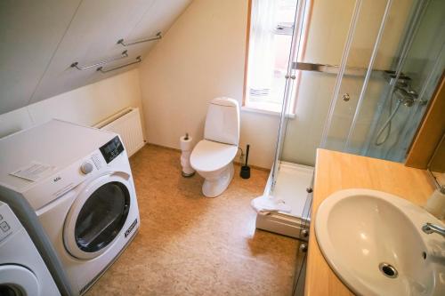 a small bathroom with a toilet and a washing machine at Dúlluhús - Apartments by Aldan in Seyðisfjörður