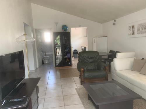 un salon avec un canapé et une télévision dans l'établissement Appartement 4 personne à Rouffiac tolosan, à Rouffiac-Tolosan