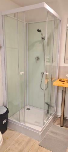 une douche avec une porte vitrée dans une salle de bain dans l'établissement T2-Cozy appartement près de Bordeaux, à Montussan