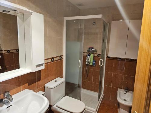 a bathroom with a shower and a toilet and a sink at Apartamento Miravalles in Muros de Nalón
